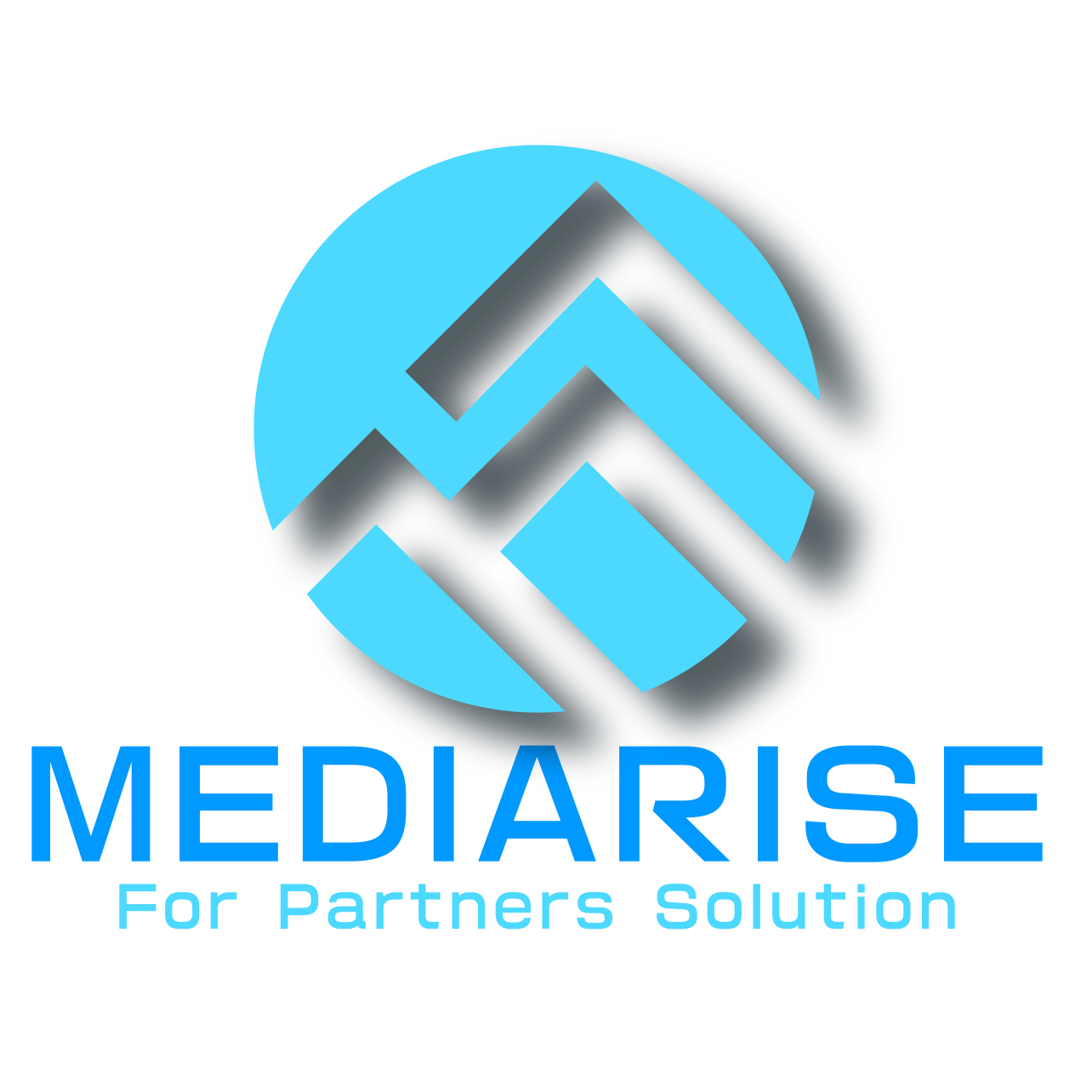 株式会社MEDIARISE